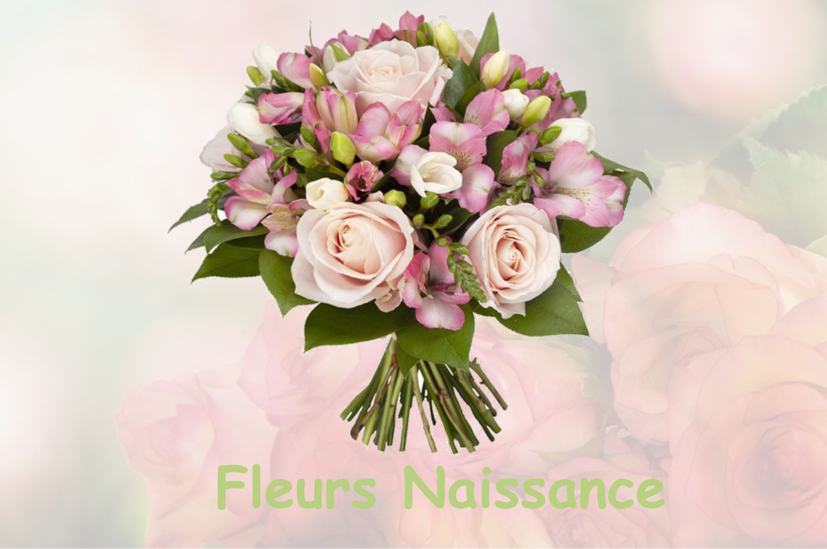 fleurs naissance CHAMPIGNY-SUR-AUBE